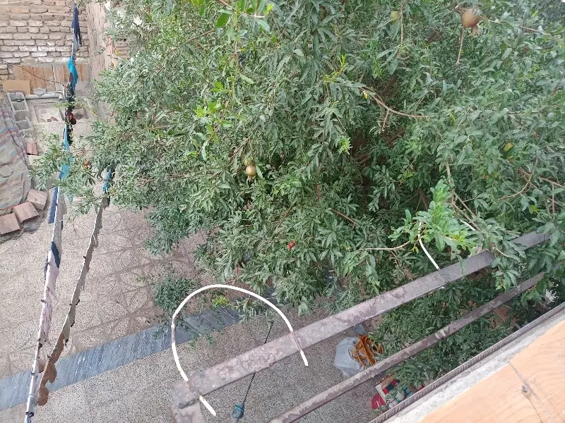 خانه همکف