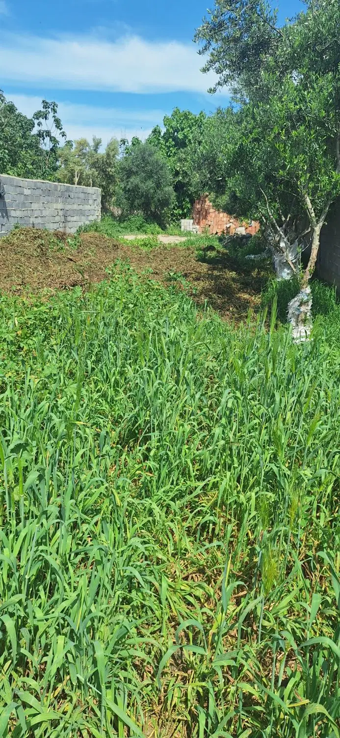 زمین  سرمایه گزاری  کریم آباد