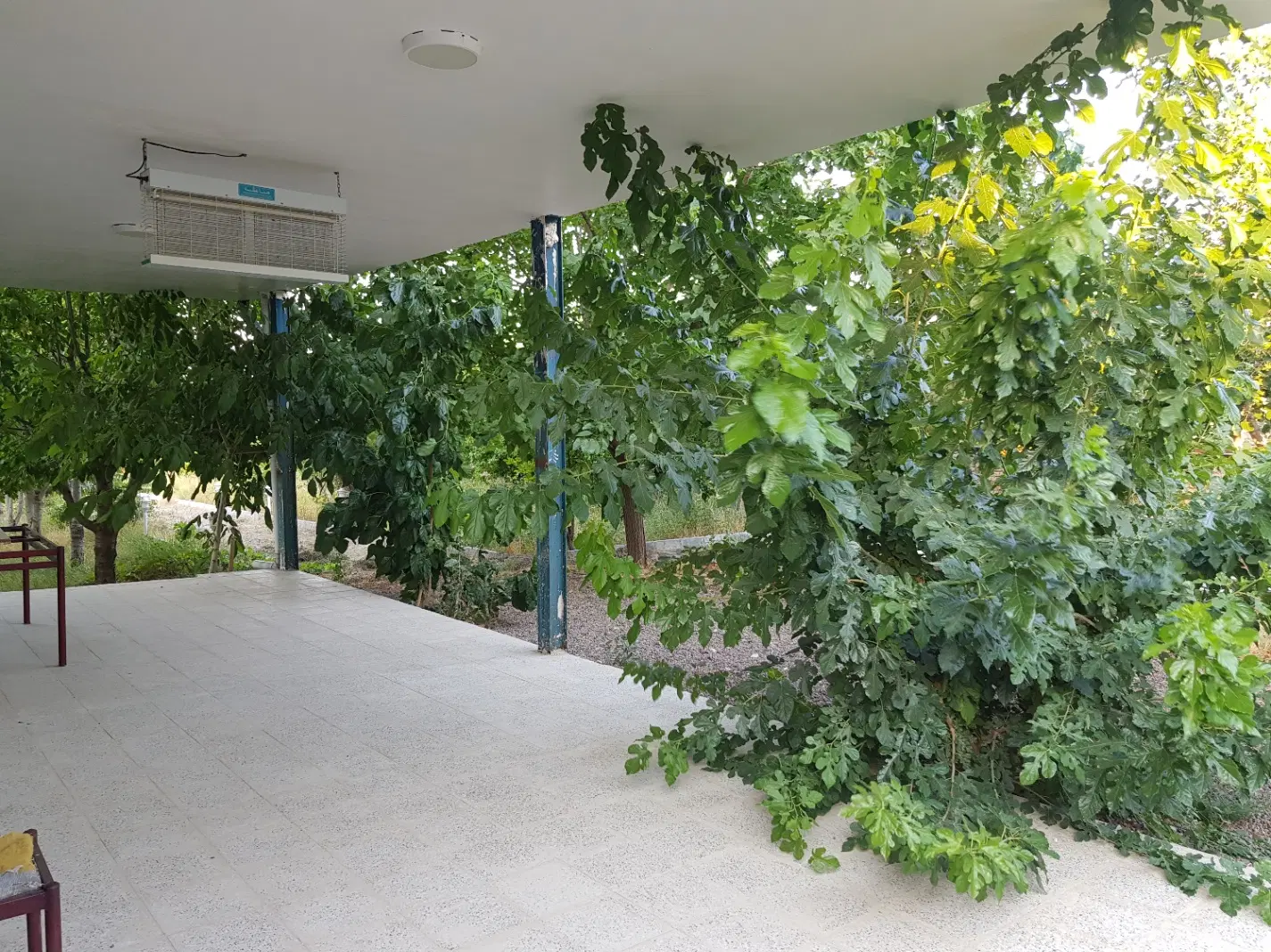 ۳ هزار متر باغ سند دار