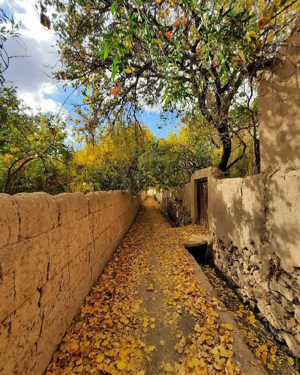 ویلا باغ گلپاشین ائلر یولی