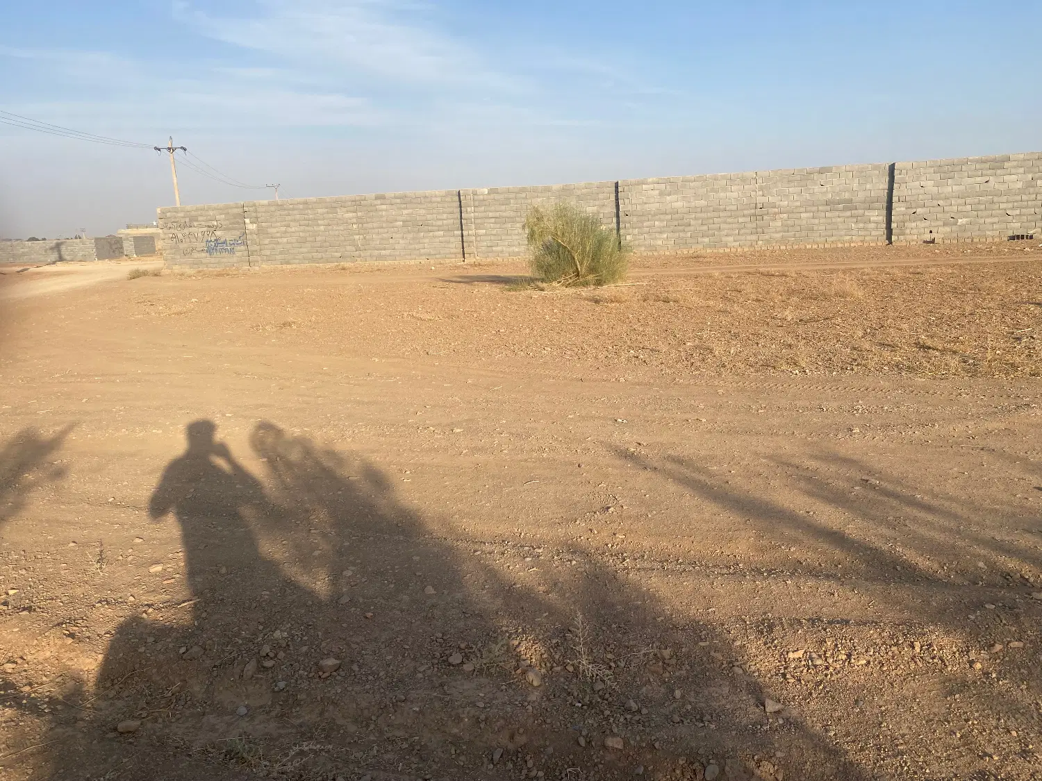زمین