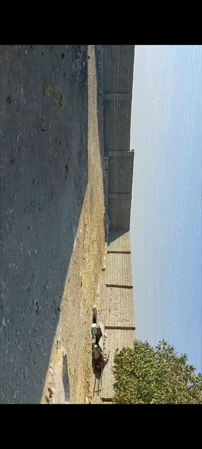 اجاره گاوداری