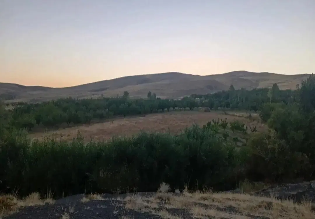 باغ