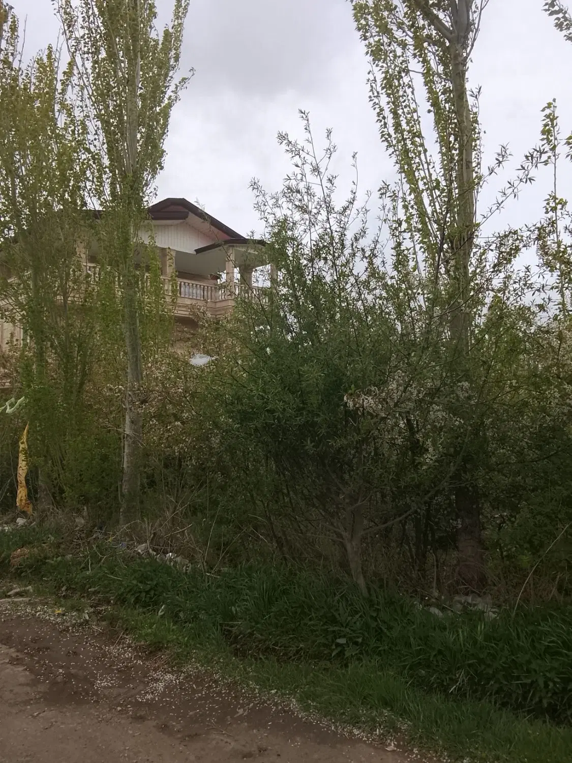 زمین ب متراژ 200متر مسکون (کوهسنگر حور)