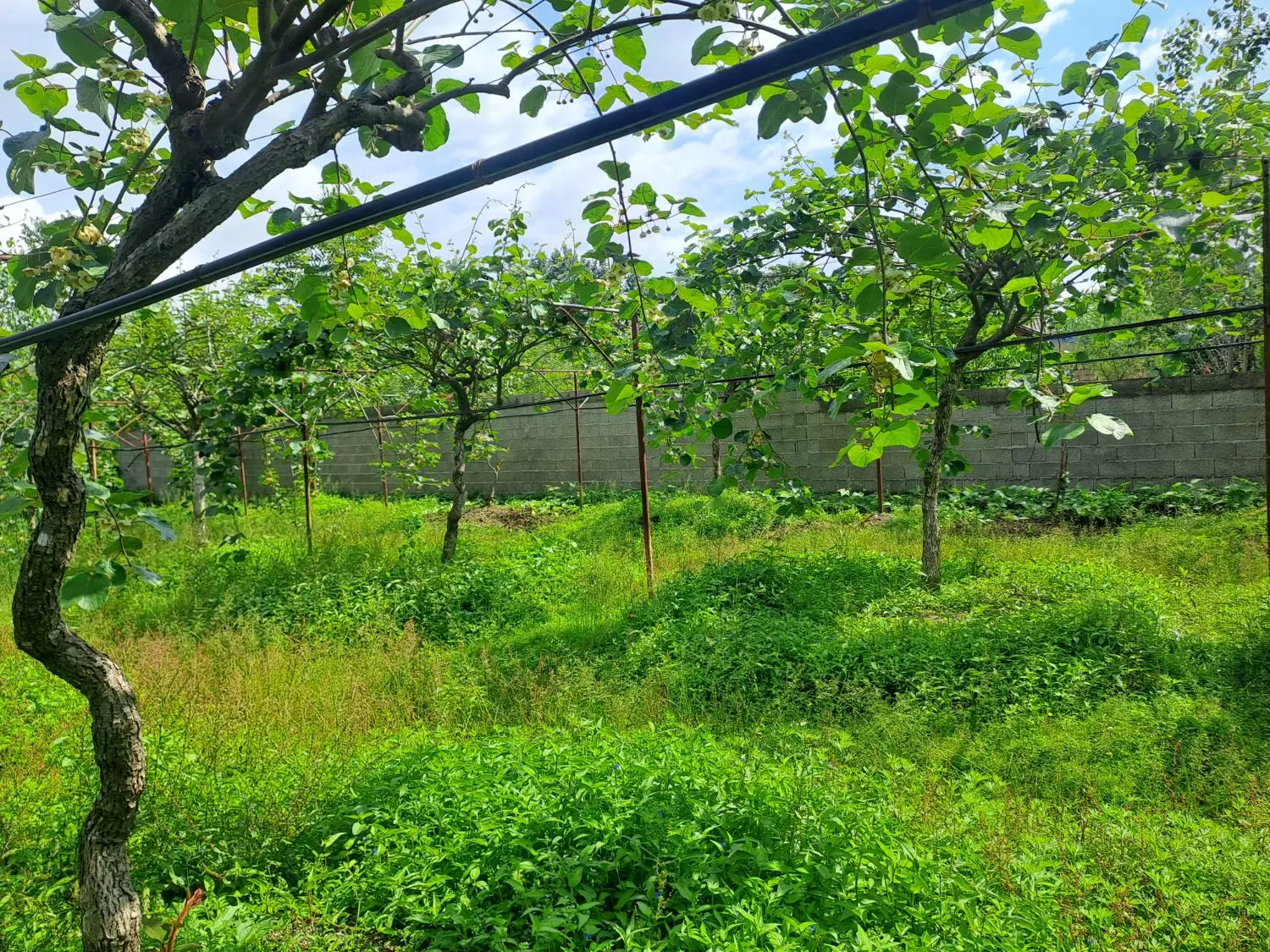 ۴۰۰ متر زمین مسکونی _محمدی خسروابادی _