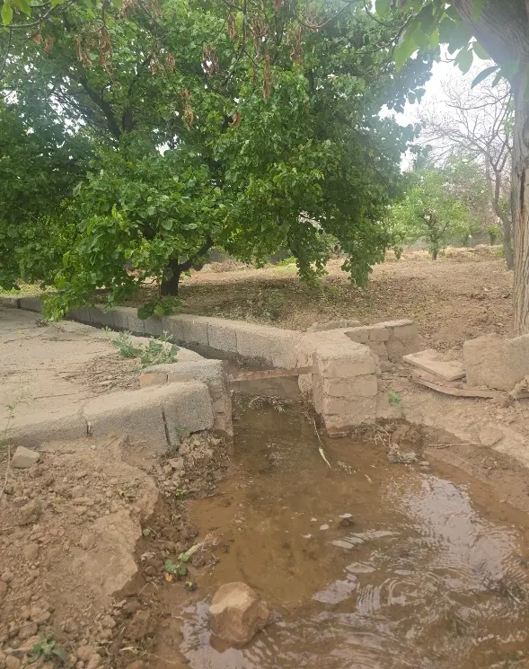 زمین باغ و باغچه با درختان مثمر میوه