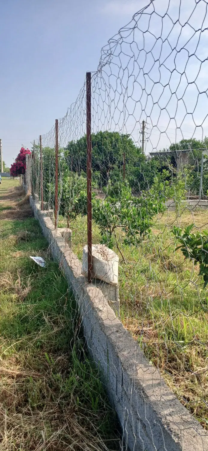 یک پلاک زمین باغچه