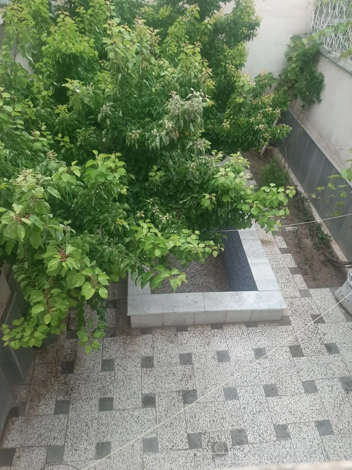 معاوضه اپارتمان ۴ خوابه تک واحدی  اقبال لاهوری ۲۵
