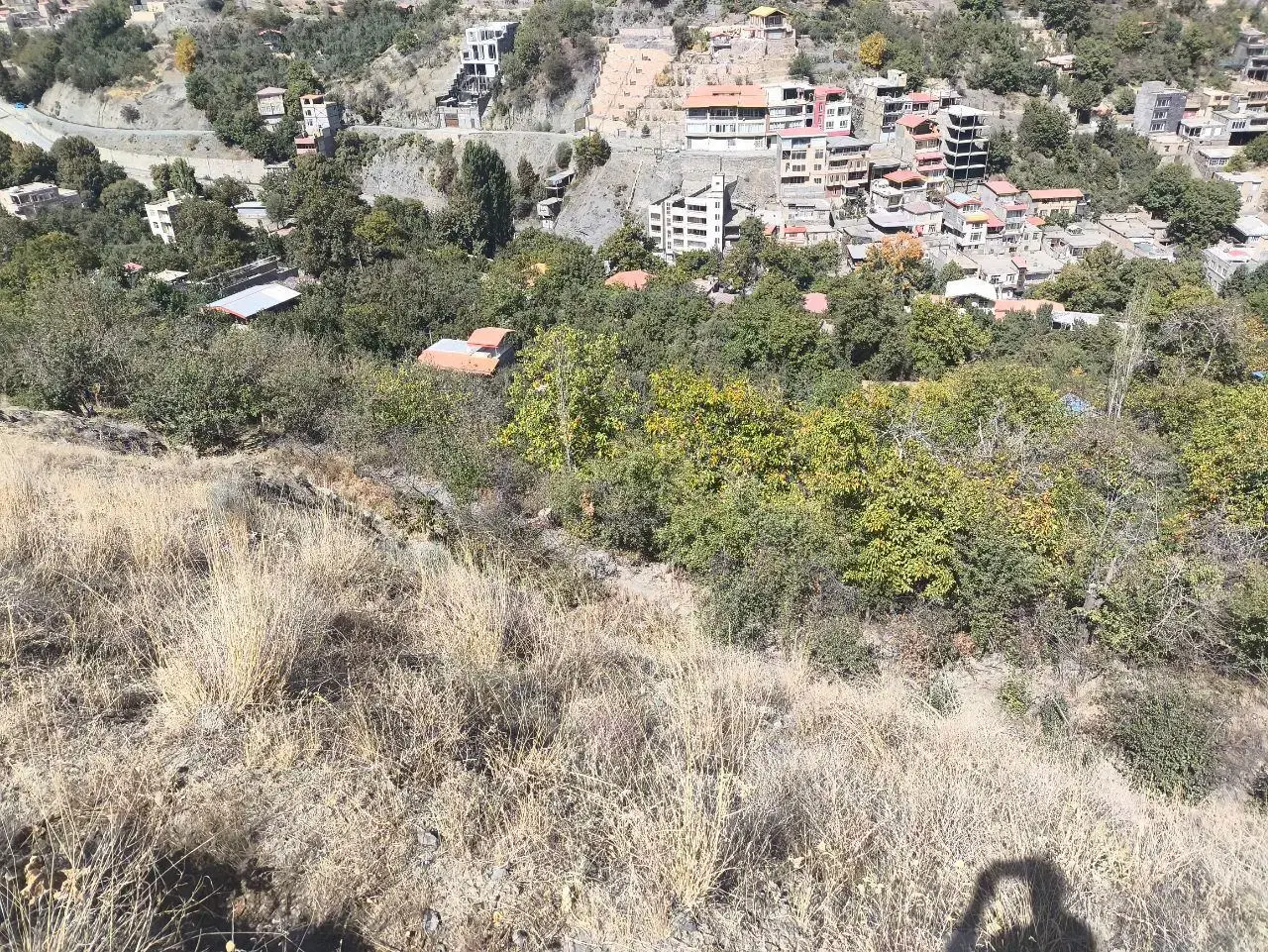 زمین زشک فروش