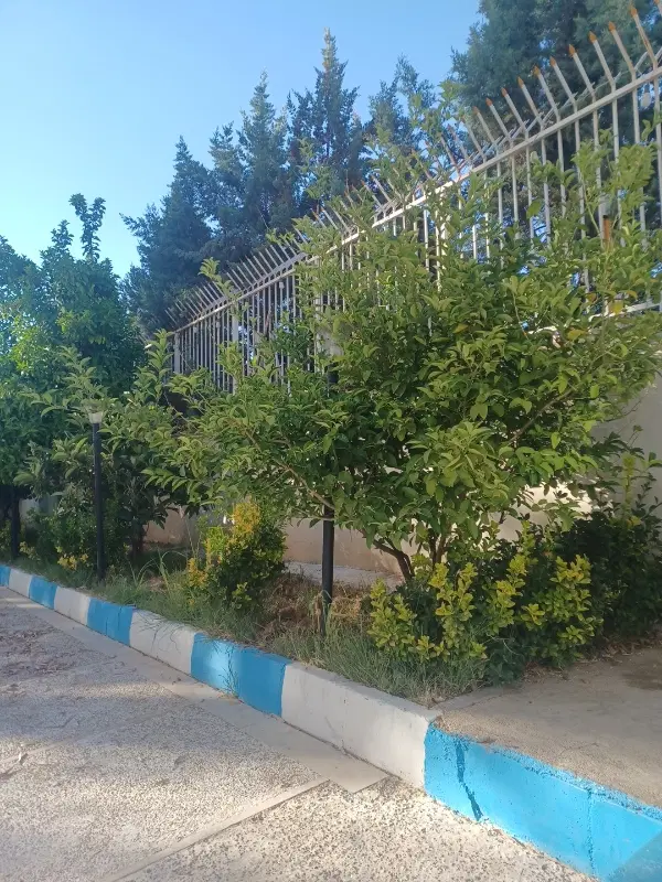 اجاره منزل ویلایی