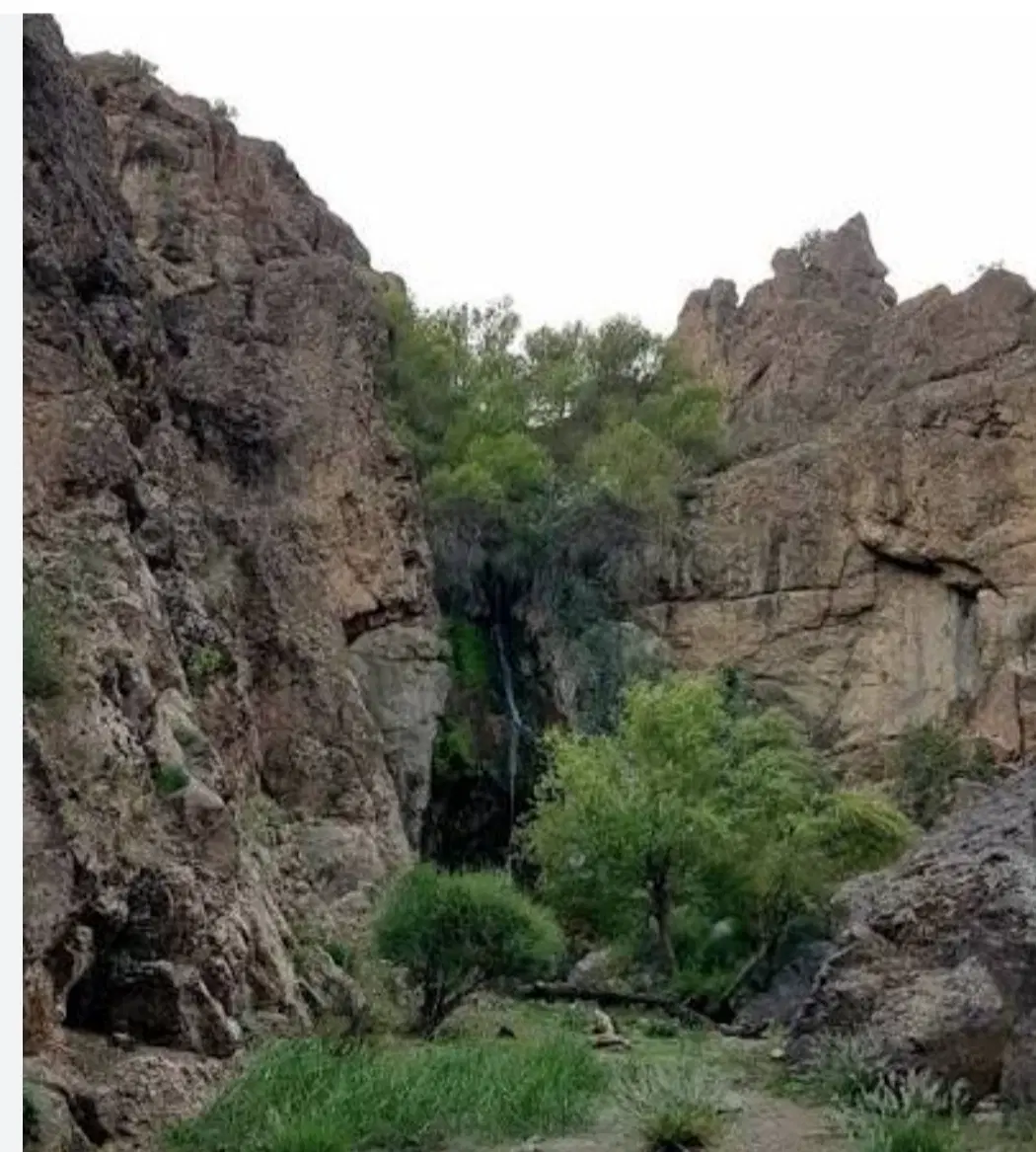 زمین باغی اندیس (هندس)