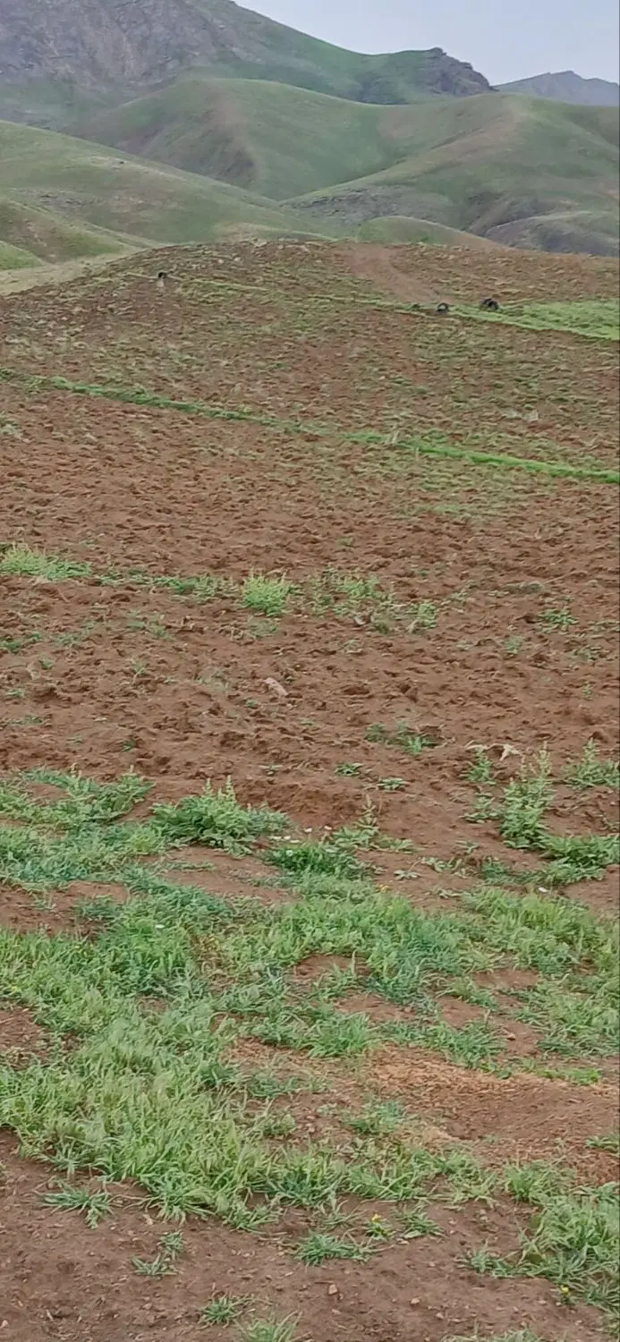 ۲،۰۰۰ متر زمین ویلایی