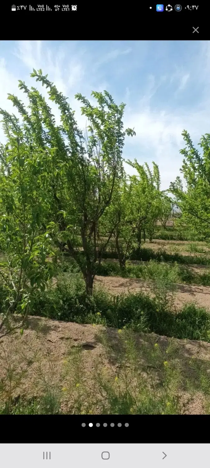 زمین تنکمان