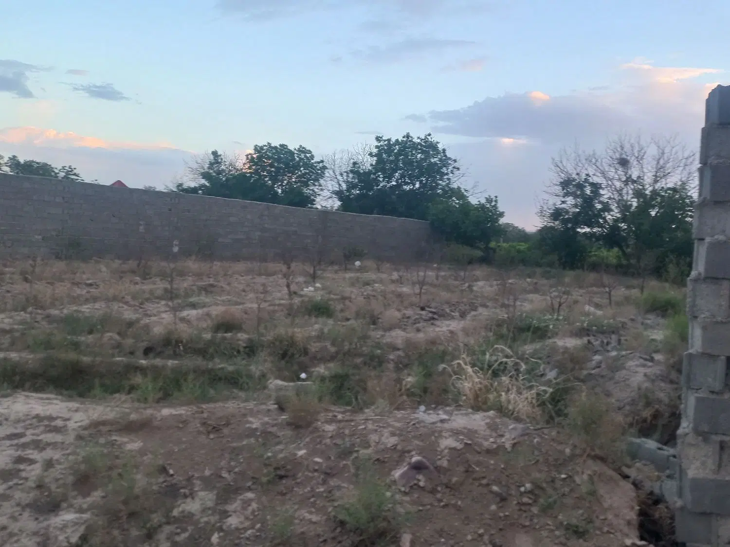 زمین ۱۰۰۰ متری