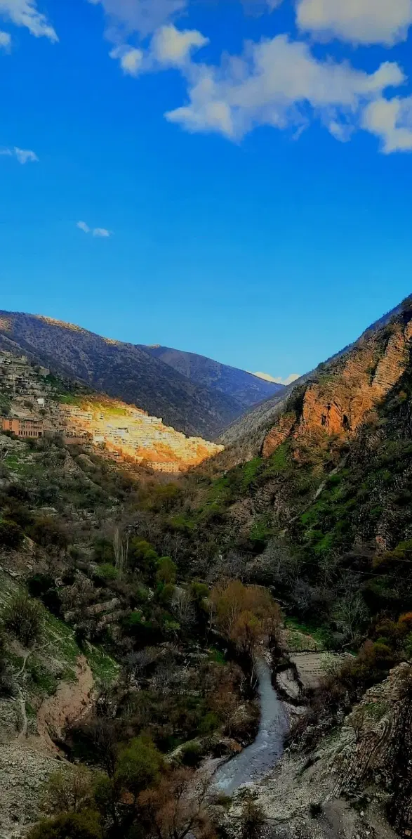 معاوضه و فروش زمین کشاورزی آبی چاه عمیق جاده اصلی