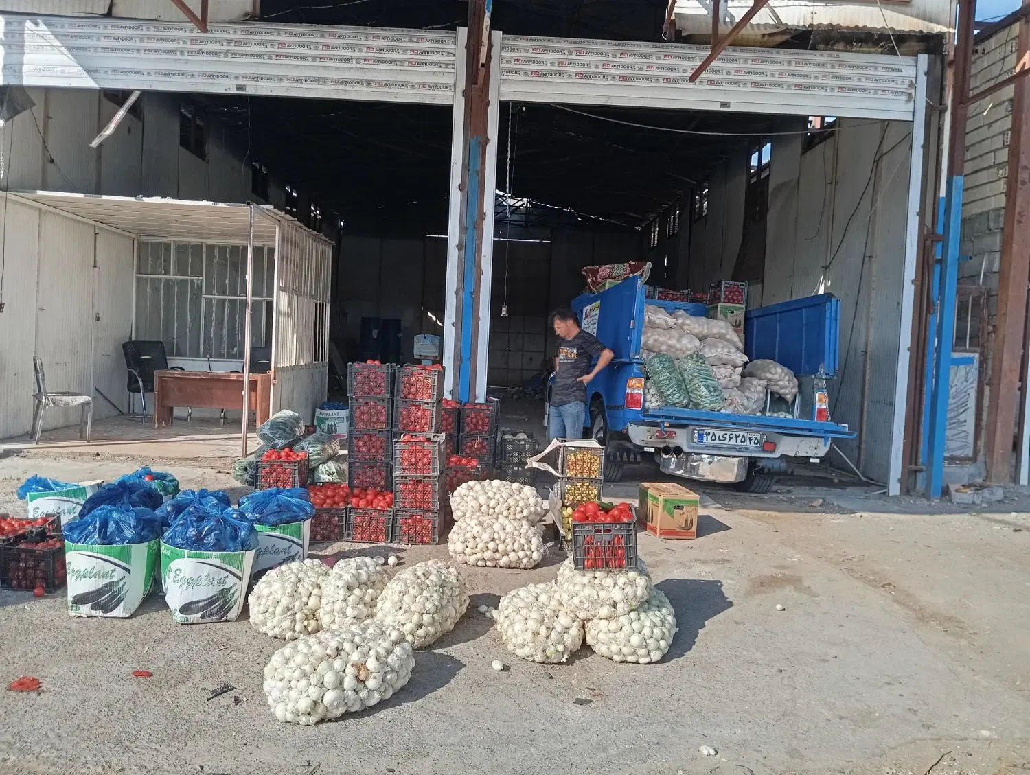 میدان تربار