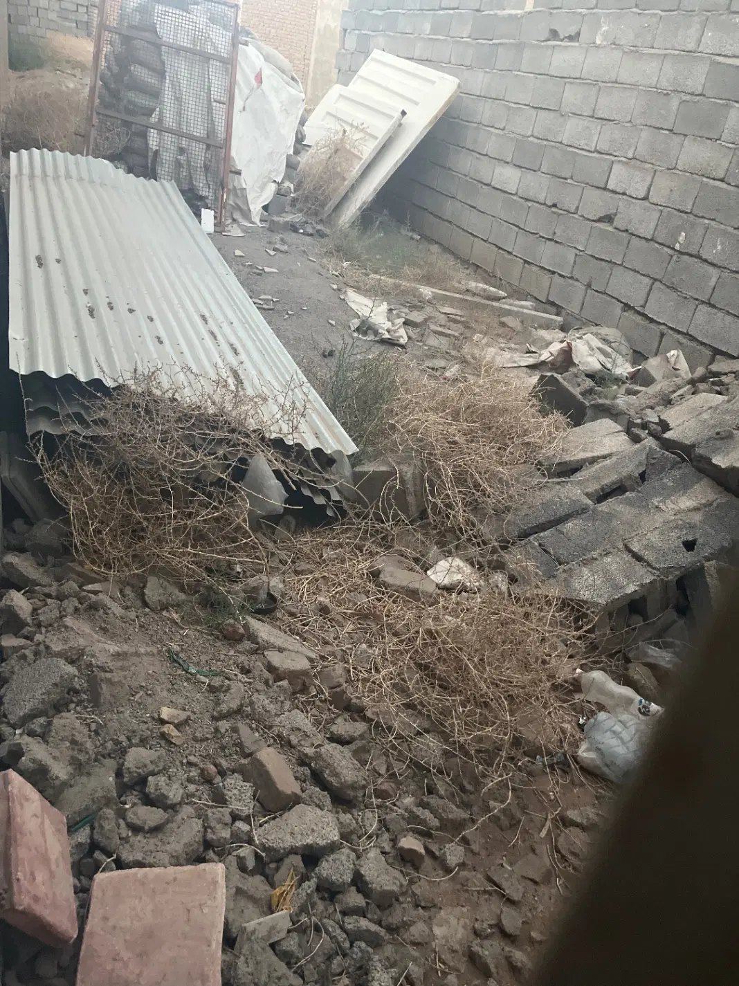 زمین