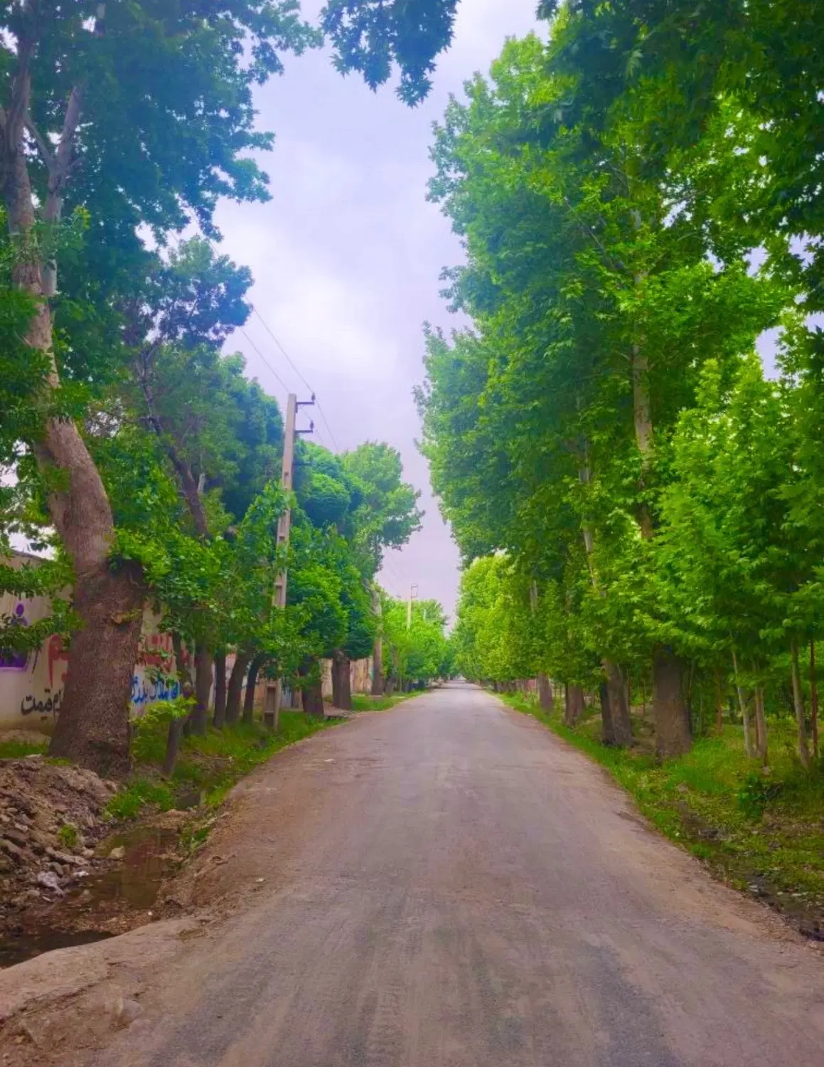 ۵۳۰متر باغ۲بر با کنتور برق و سند تک برگ در شهریار
