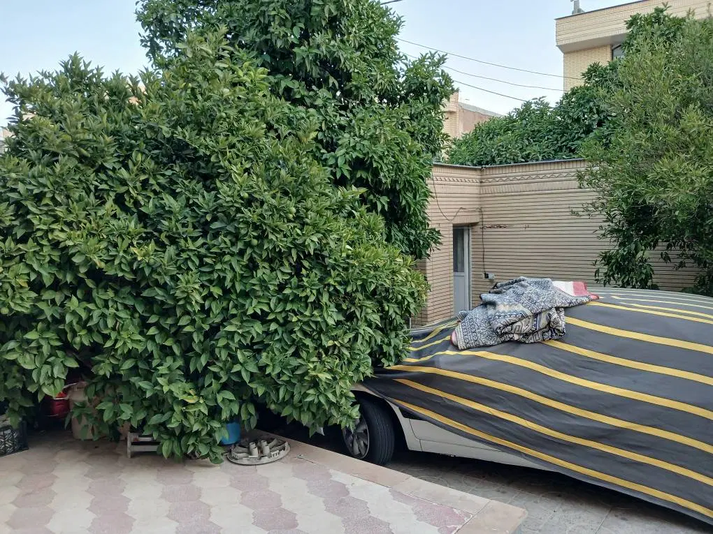 ویلایی مستقل فرهنگیان