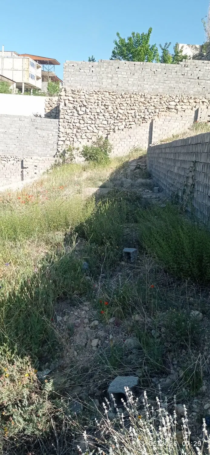 باغ در دماوند