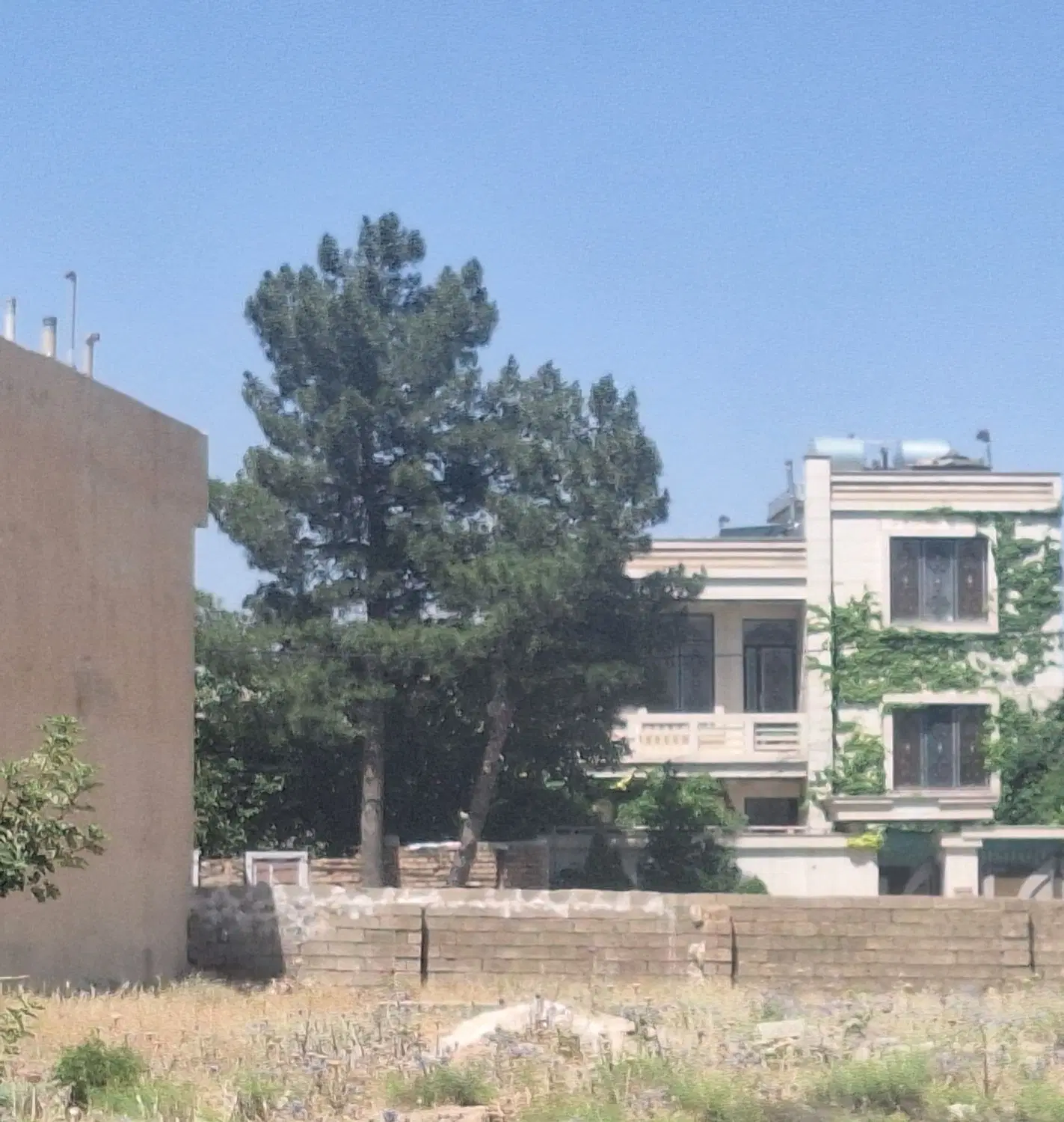 زمین ملکی مسکونی
