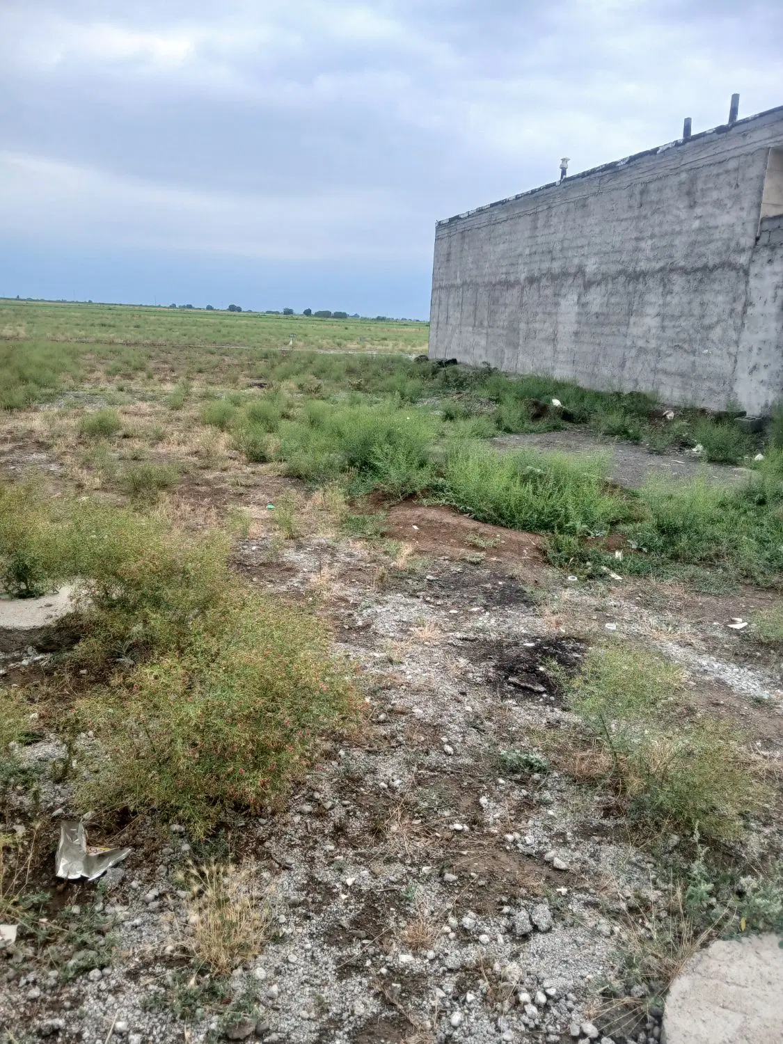 زمین مسکونی ایثارگران