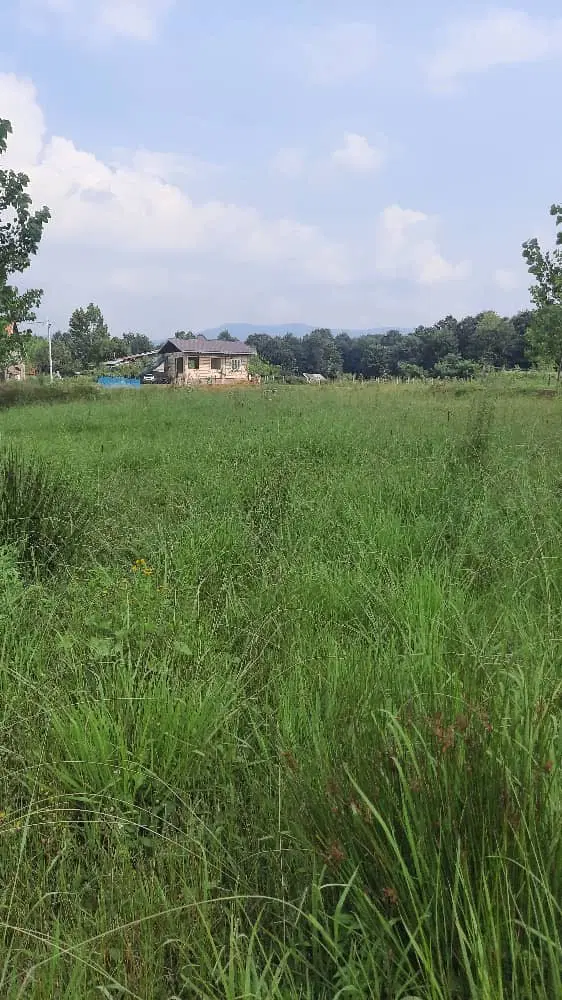 ۵۰۰ متر مسکونی سنددار