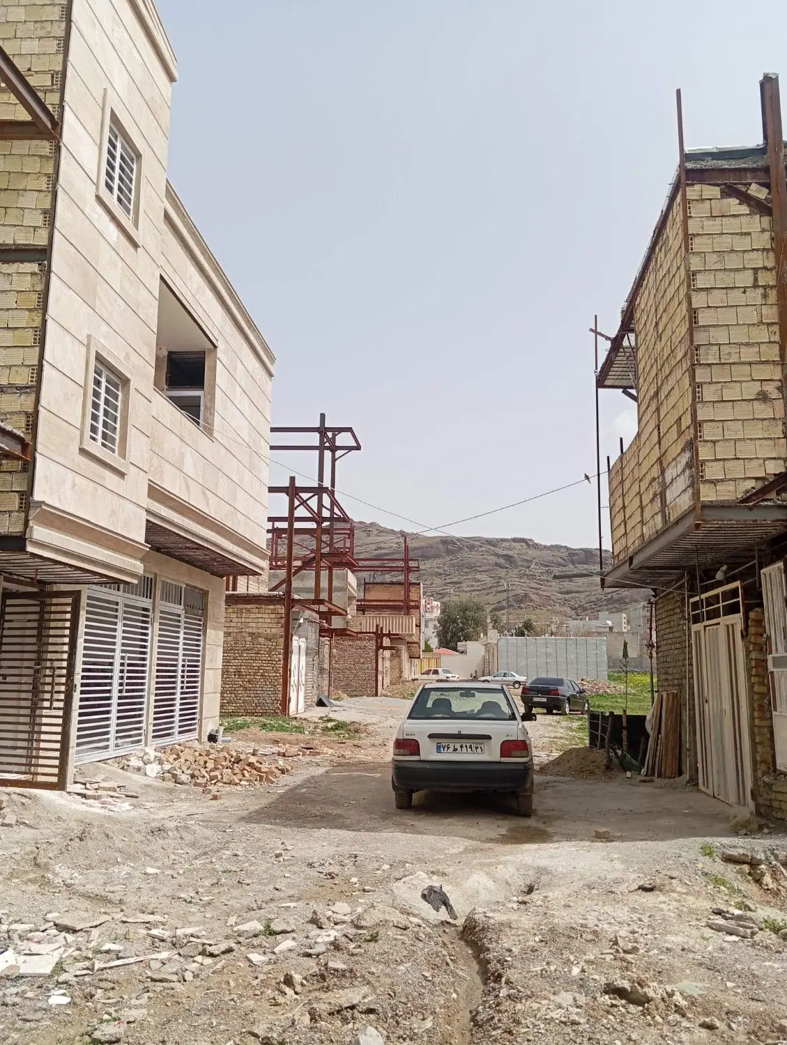 زمین پاپی خالدار بنفشه 3
