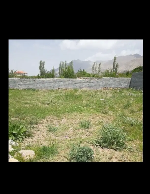 زمین