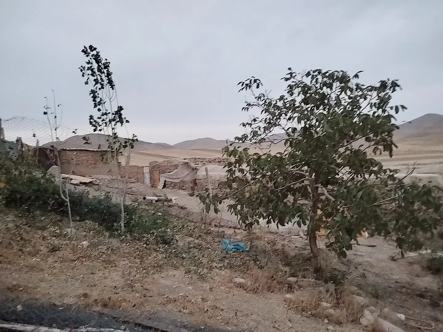 خانه و حیاط