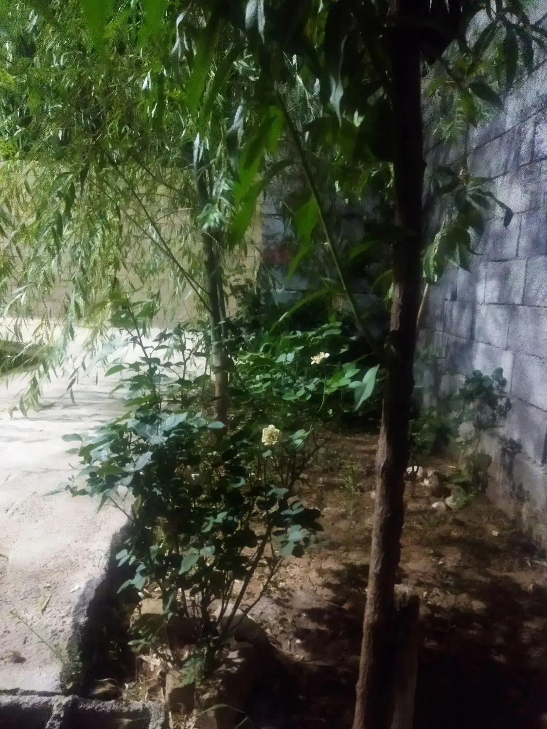 خانه باغ کوچیک دهکبود
