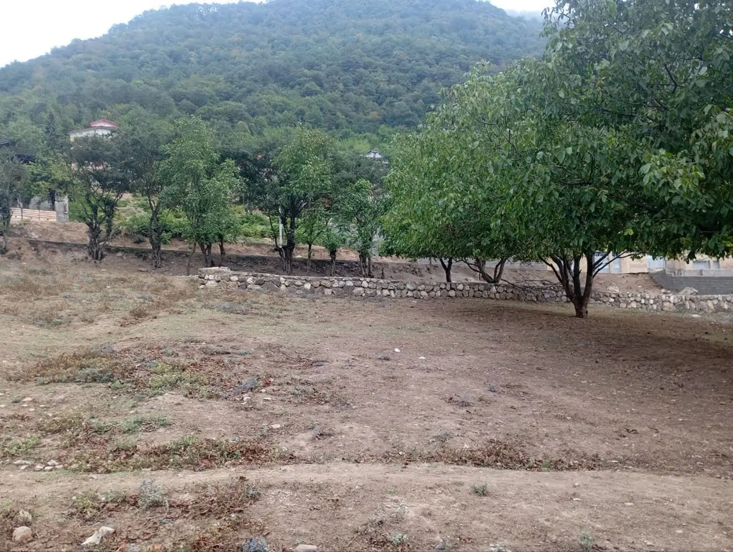 زمین داخل بافت لوکال چلی