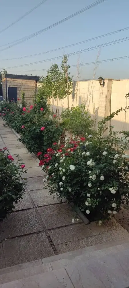 باغ ویلا 250متر با مغازه بلوار. هوا فضا ماهدشت