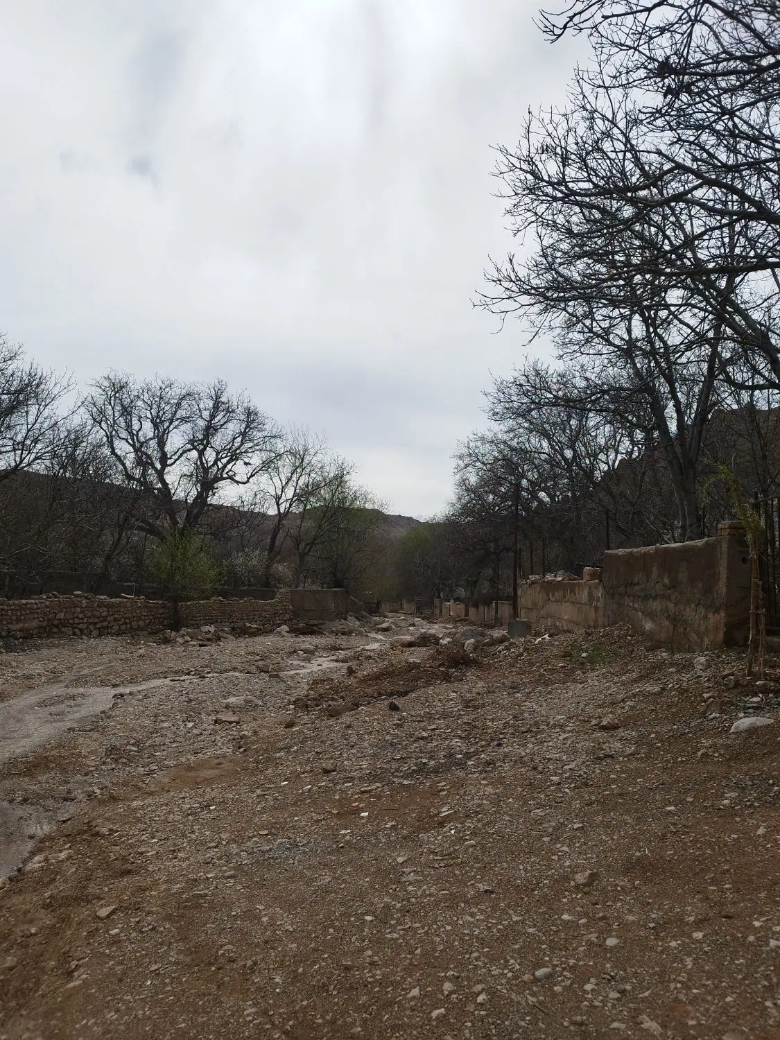 زمین کشاورزی