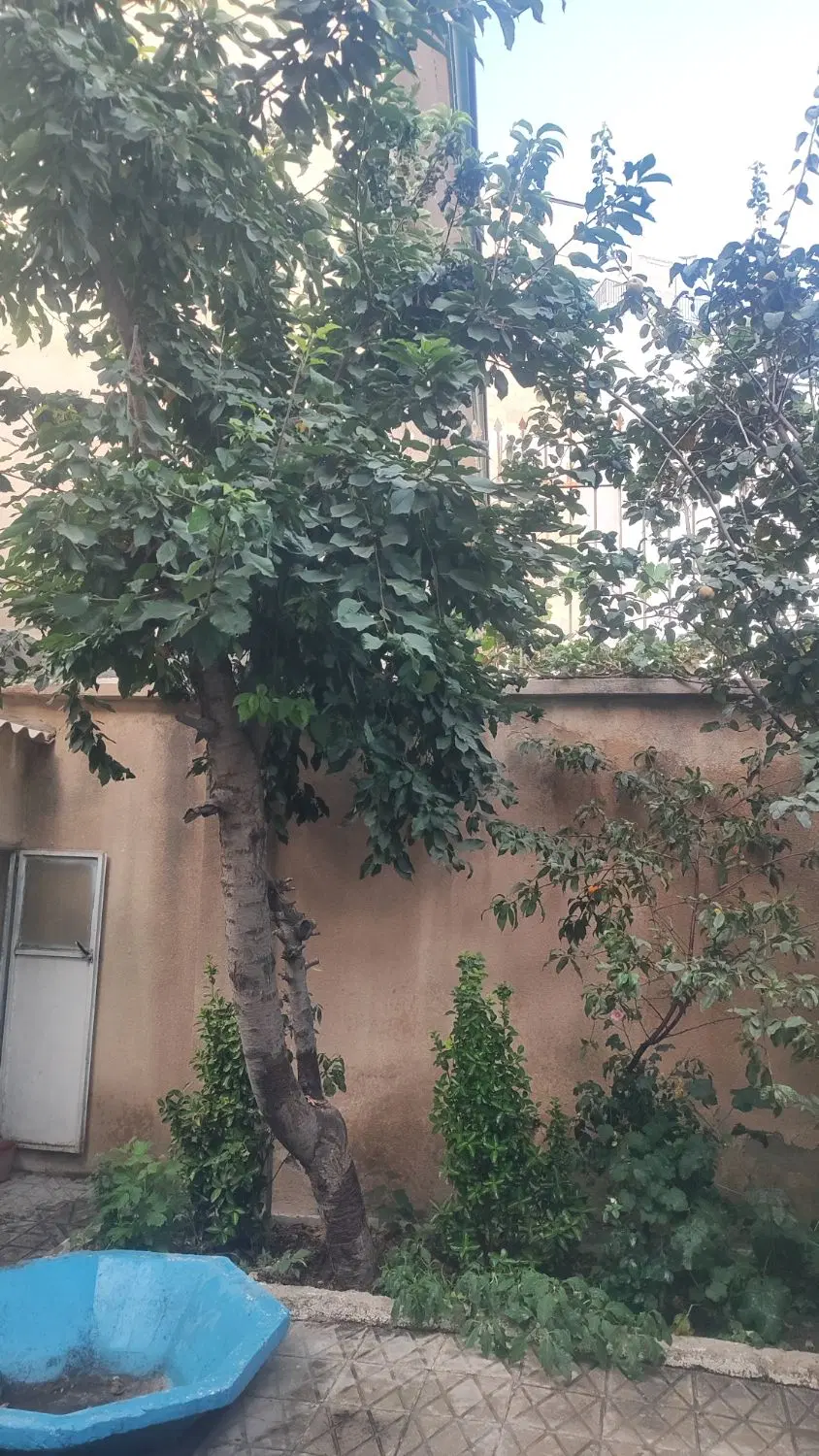 اجاره خانه
