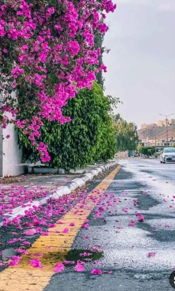 ۱۰۰۰ متر زمین بندبال