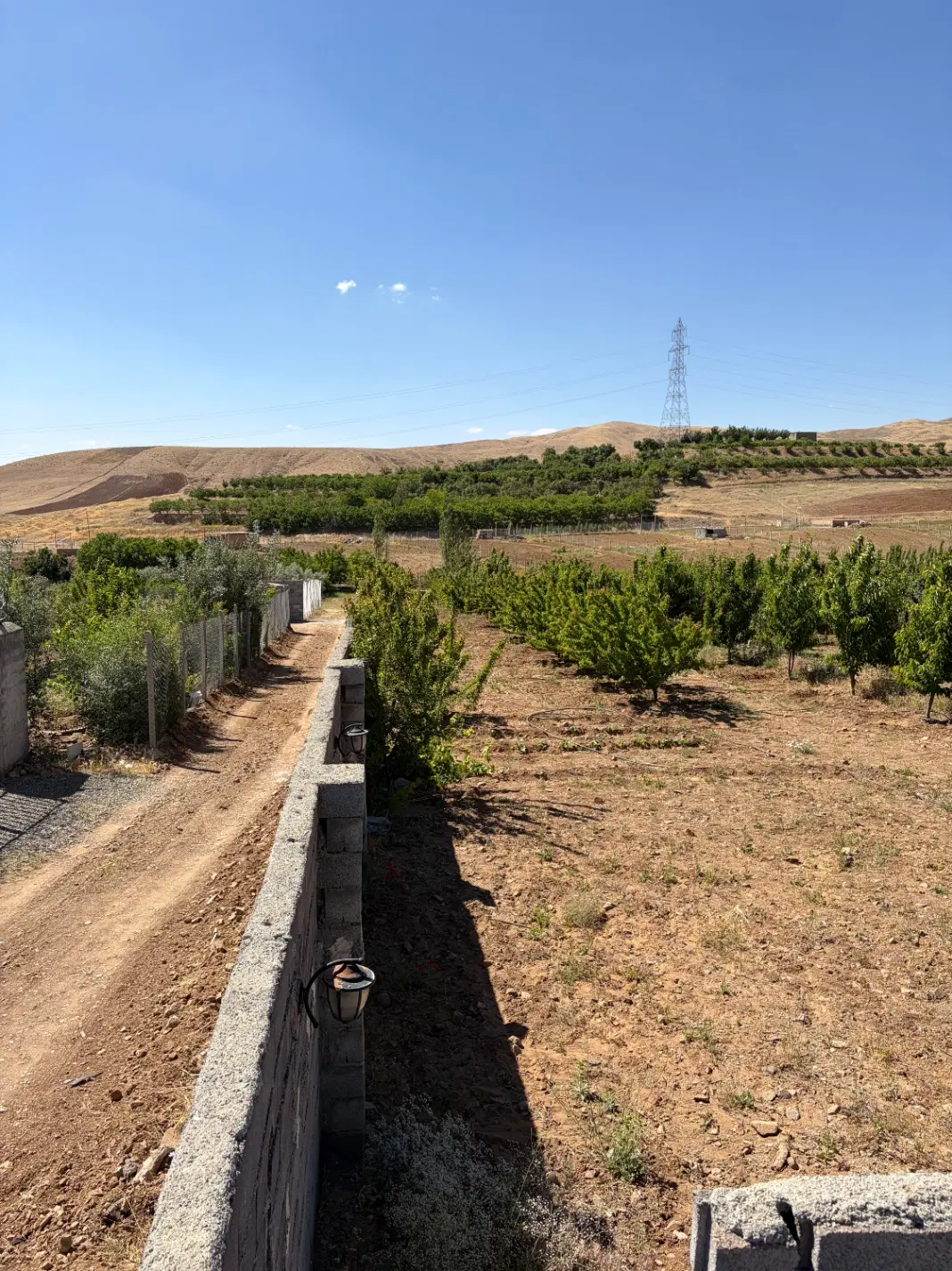 باغ قلیچیان