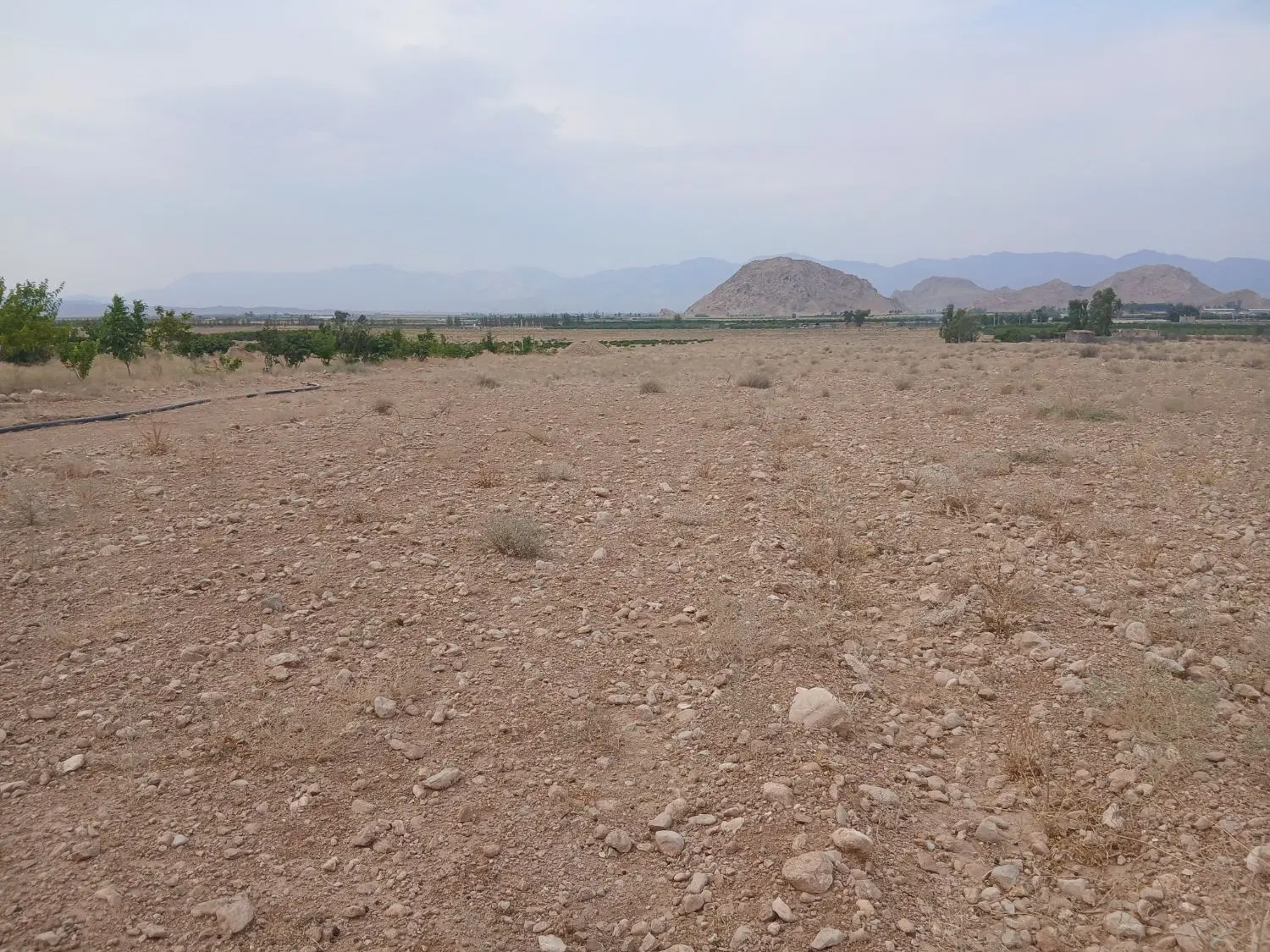 فروش زمین کشاورزی با سند رسمی