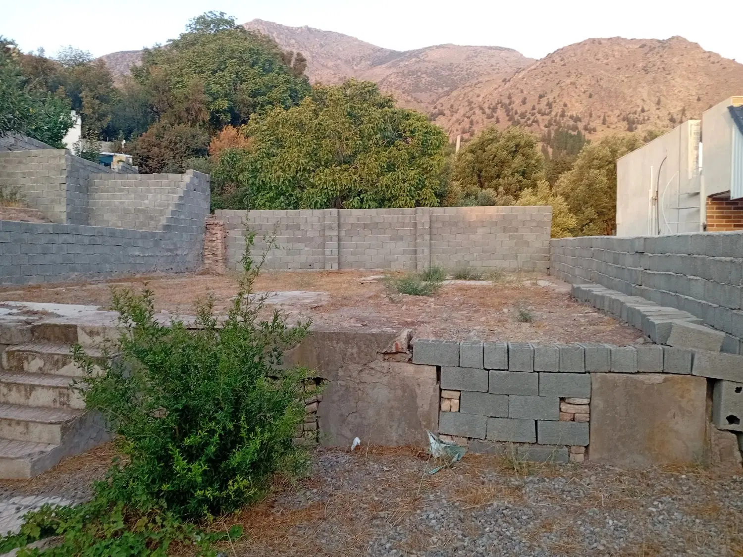 زمین
