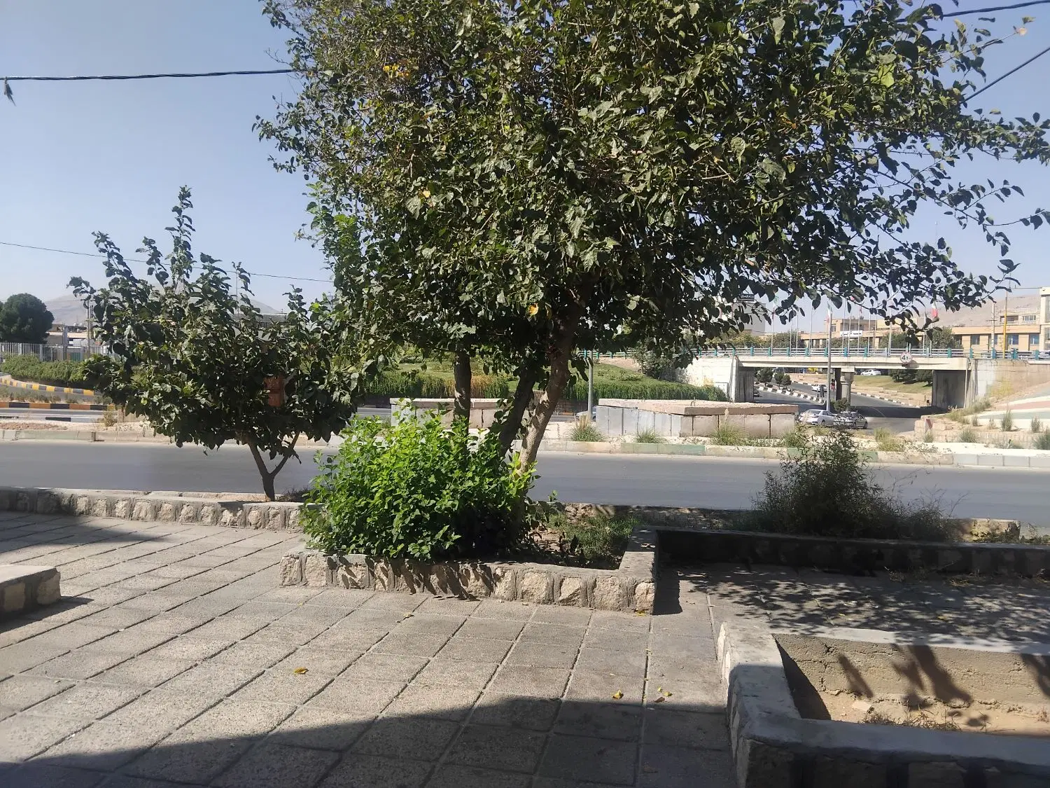 مغازه فلکه فرودگاه