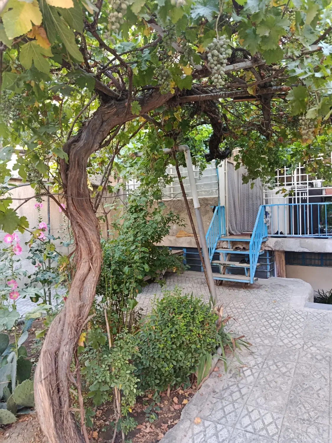 خانه ویلایی