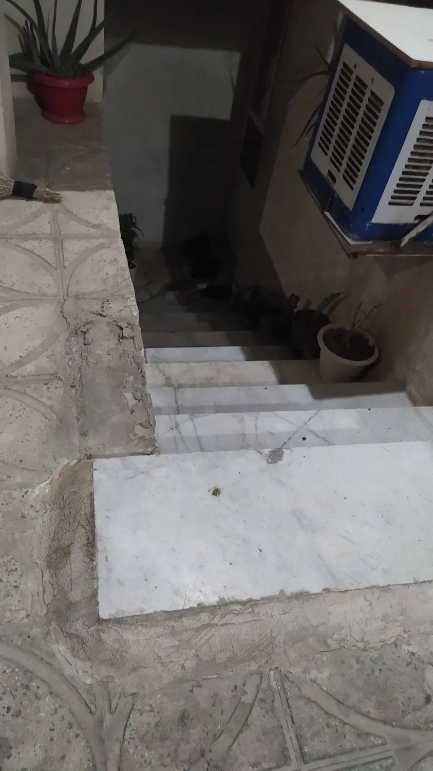 زیرزمین ۵۰متری کرایه داده میشود