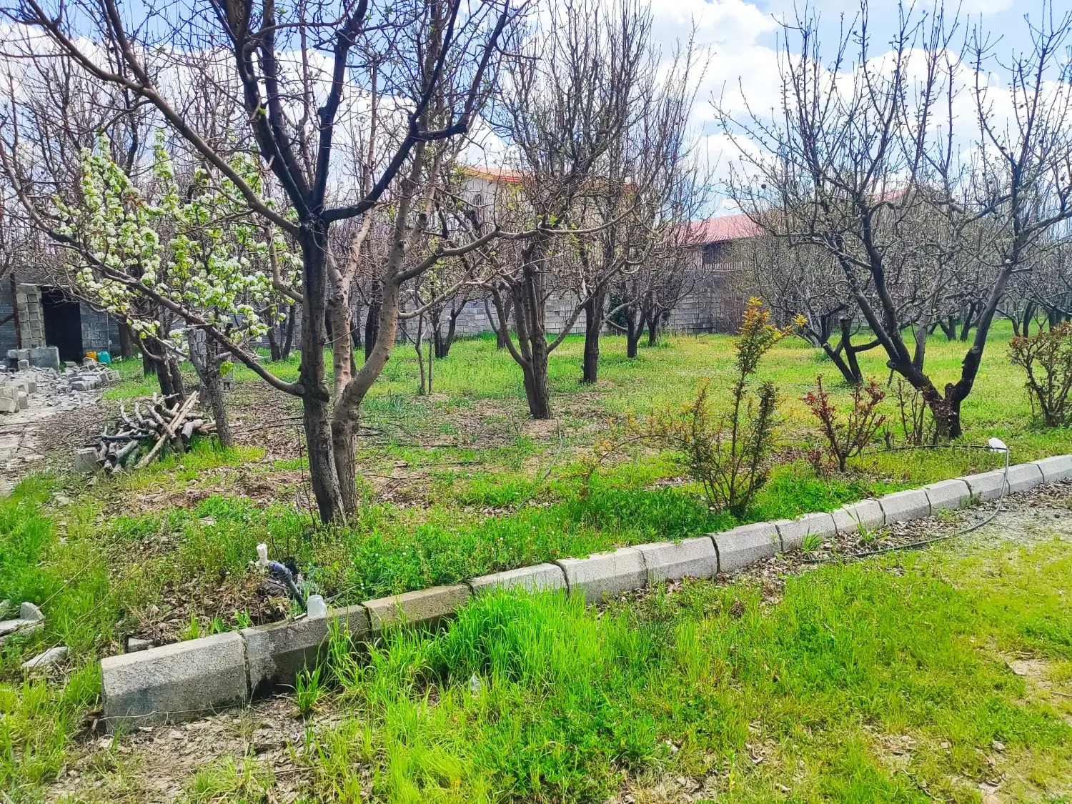 بلاغ دیوار کشی جاده سنندج