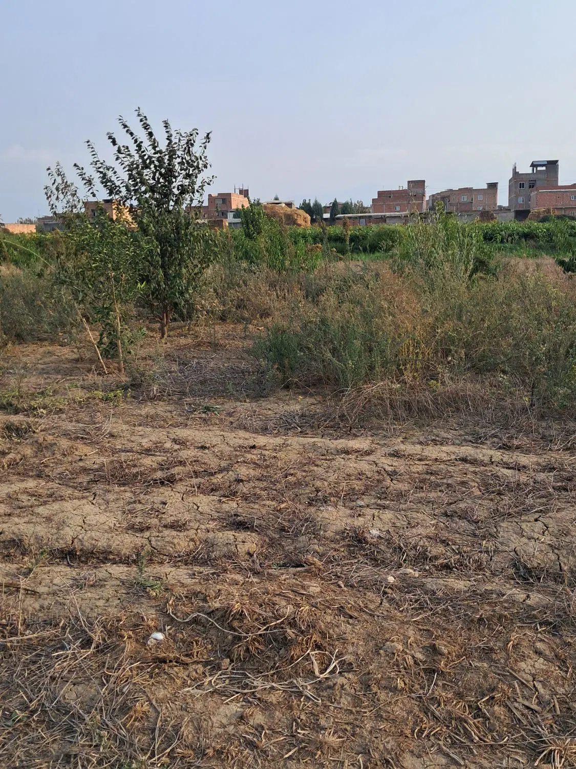 زمین فروشی