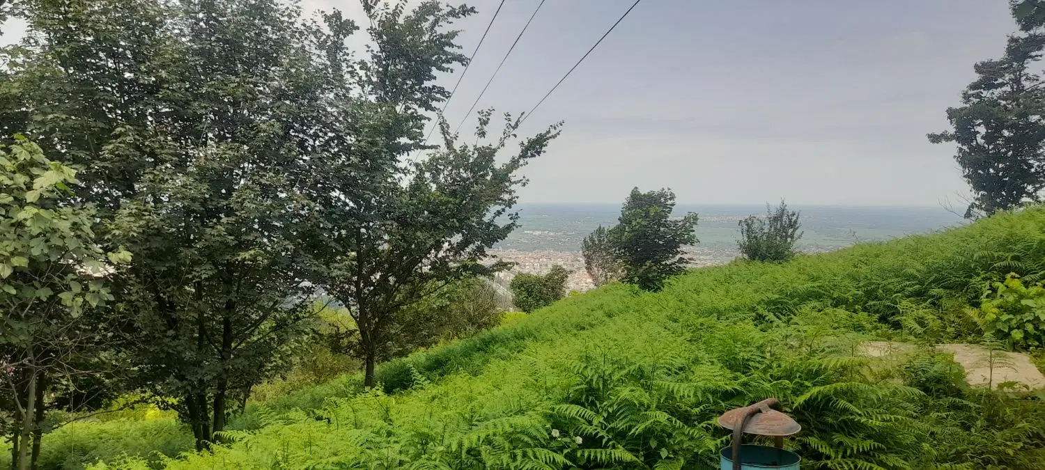 زمین  در محدوده با سند و پروانه در روستای اومی