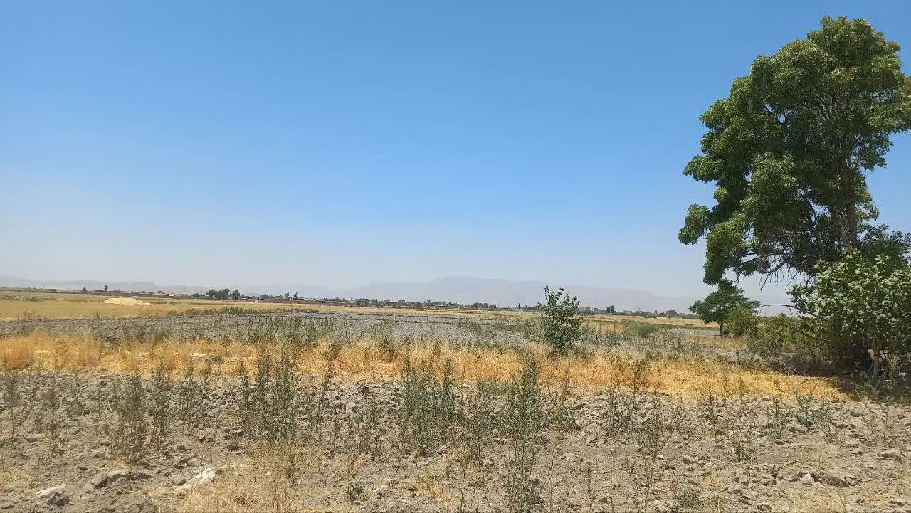 فروش زمین کشاورزی