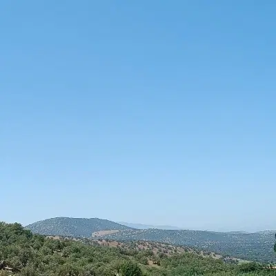 زمین در چنارکل