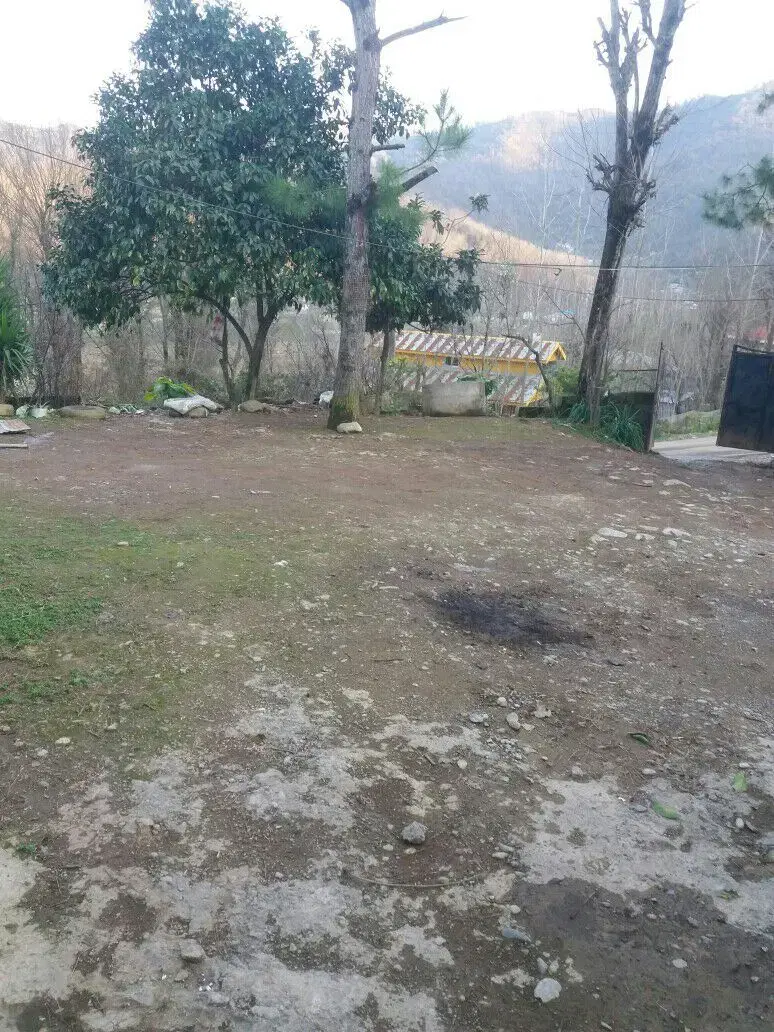 ویلا اجاره روزانه