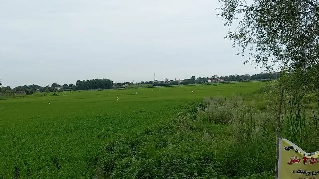۴۰۰۰مترزمین کشاورزی سنتی