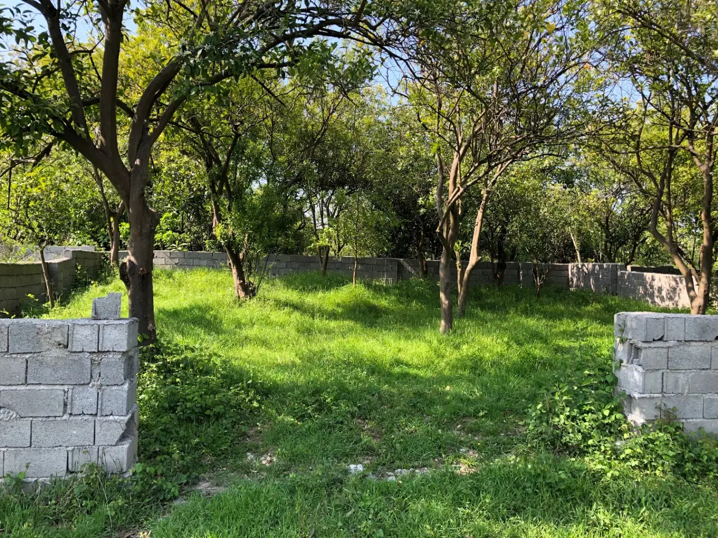 ۲۰۰  متر زمین سند دار و دیوار کشی شده در مزرک
